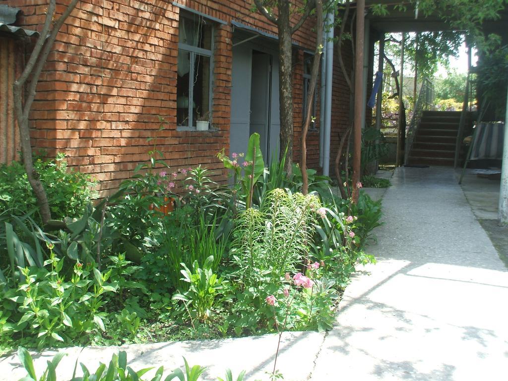 Tlt Guest House Telavi Cameră foto